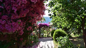 Jardín