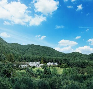 Un ensemble de bâtiments modernes et blancs, nichés dans une vallée verdoyante et luxuriante, sous un ciel bleu et dégagé.