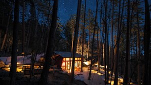 En hytte i en skov med stjerneklar himmel, omgivet af træer og et snedækket område.