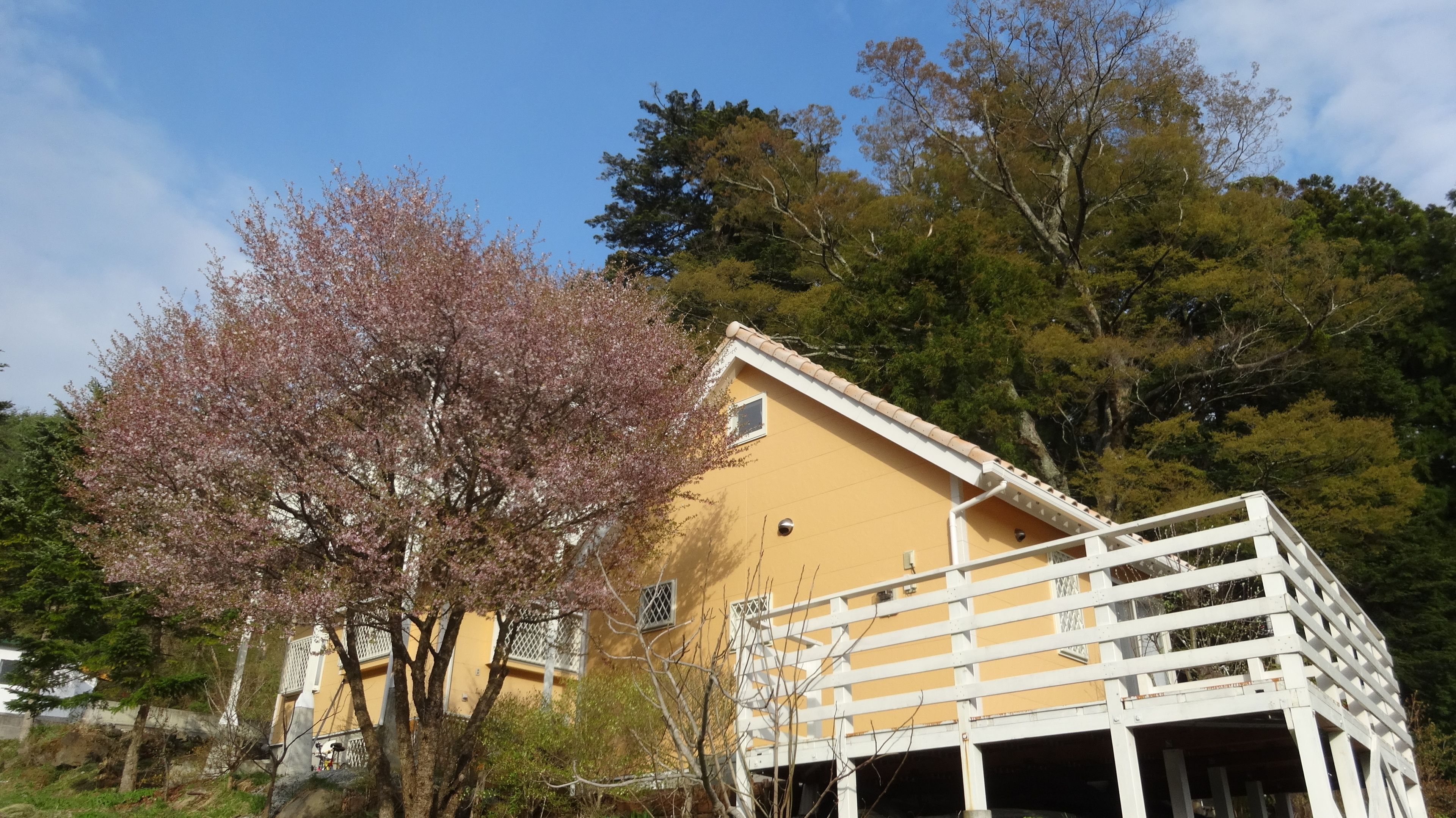 A yellow building with a white balcony, surrounded by trees and a clear sky.
