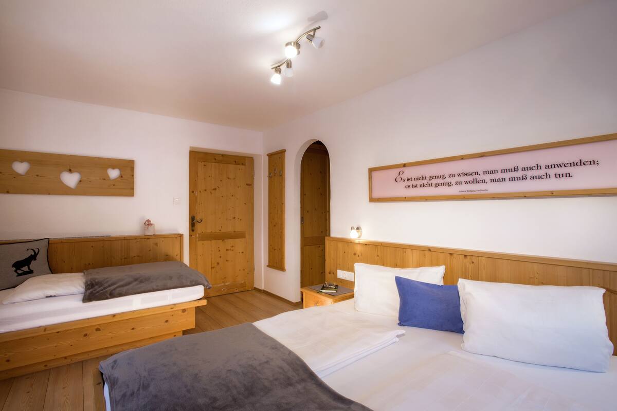 Basic Room, 1 Bedroom, Non Smoking, Mountain View | Desk, free cots/infant beds, rollaway beds, free WiFi