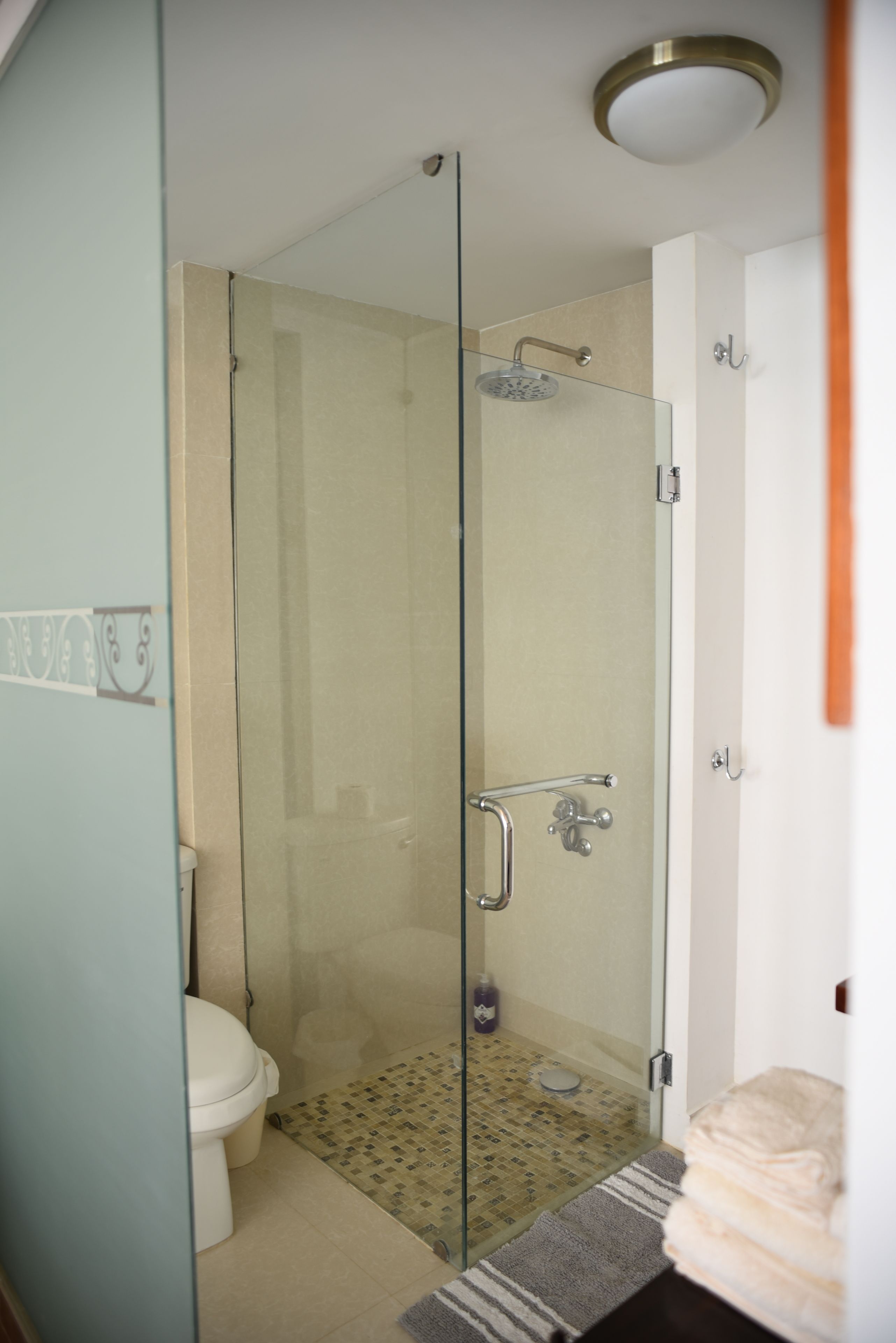 apartment, 2 bedrooms | bathroom | shower, hair dryer, towels, soap