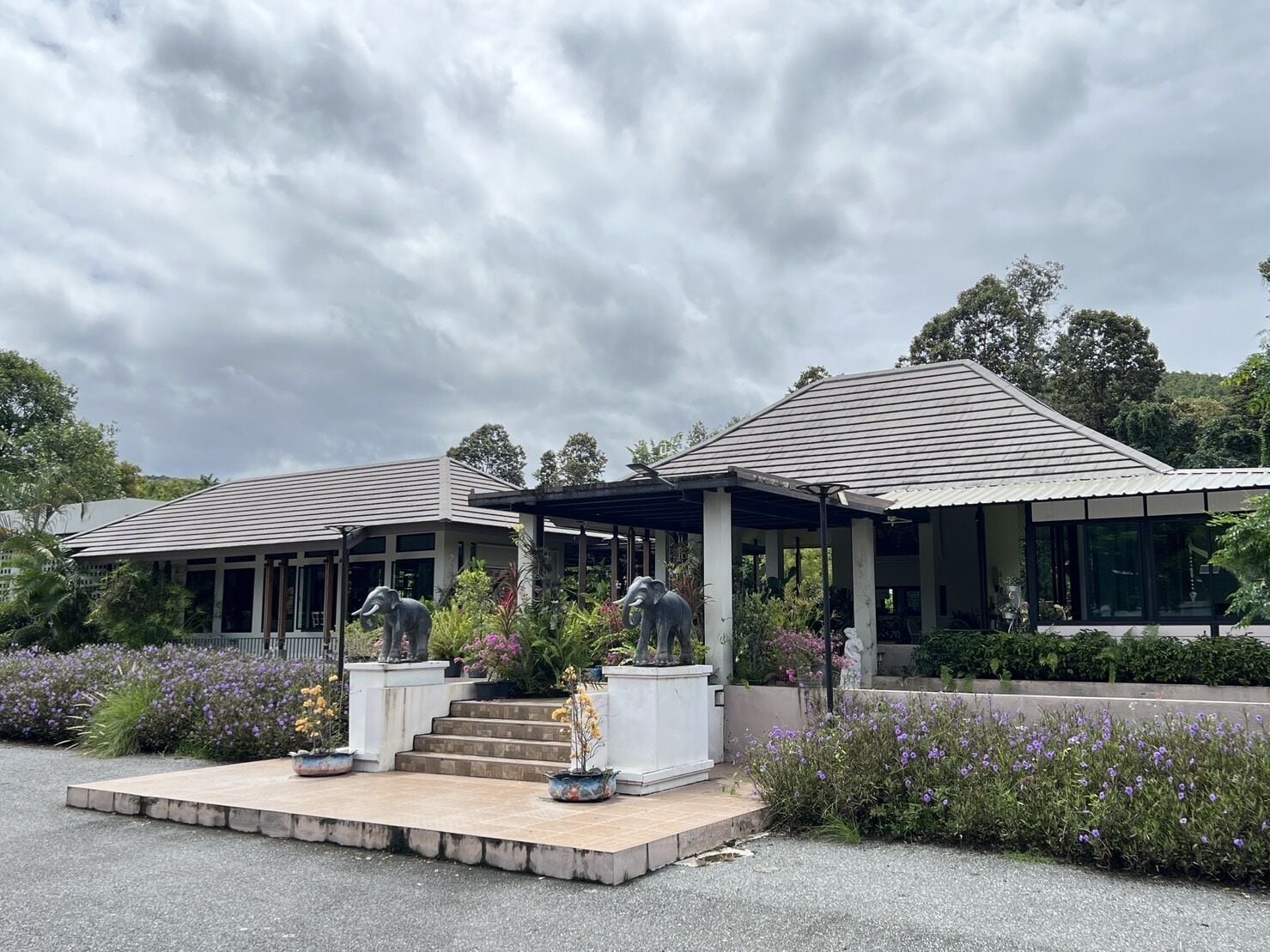 Un bâtiment moderne doté d’un patio couvert, de deux statues d’éléphants et d’un jardin agrémenté de fleurs violettes.
