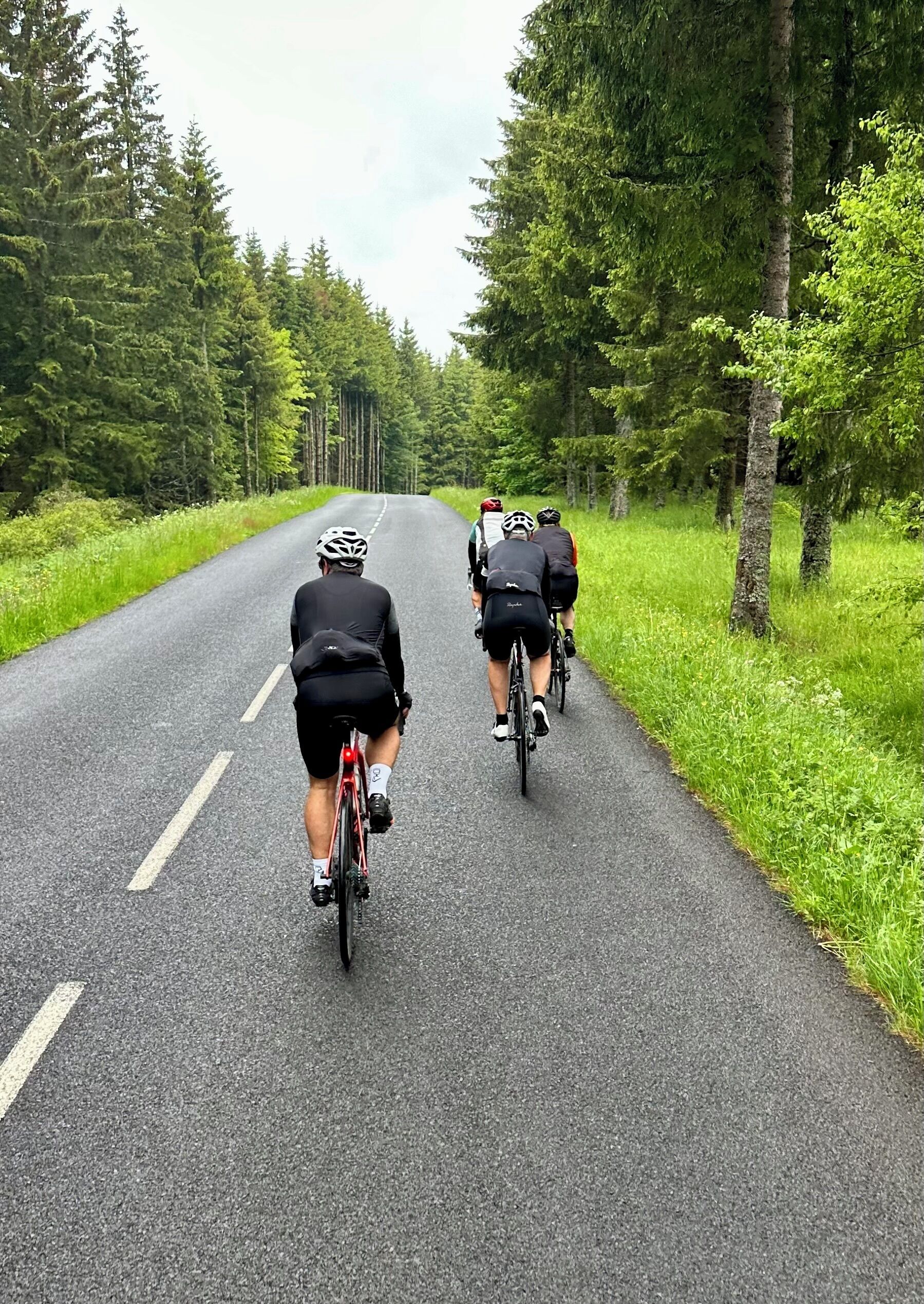 Three cyclists on a paved road surrounded by trees.