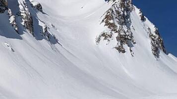 Ski
