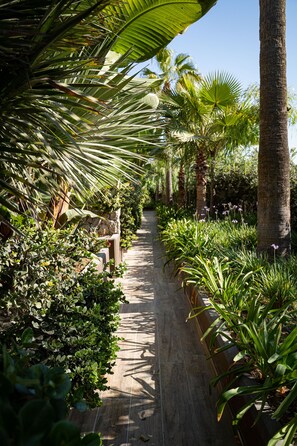 Tuin