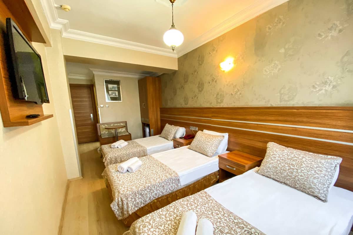 Triple Room | 1 bedroom, desk, soundproofing, free WiFi