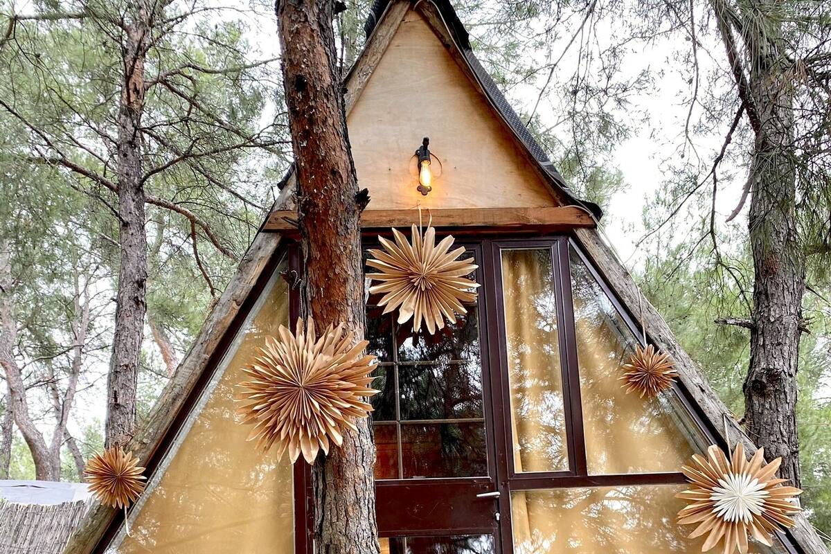 Un chalet rustique doté d’une grande fenêtre, entouré d’arbres.