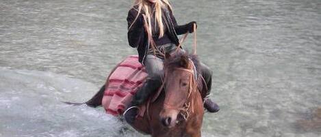 Une personne à cheval traversant une étendue d’eau peu profonde.