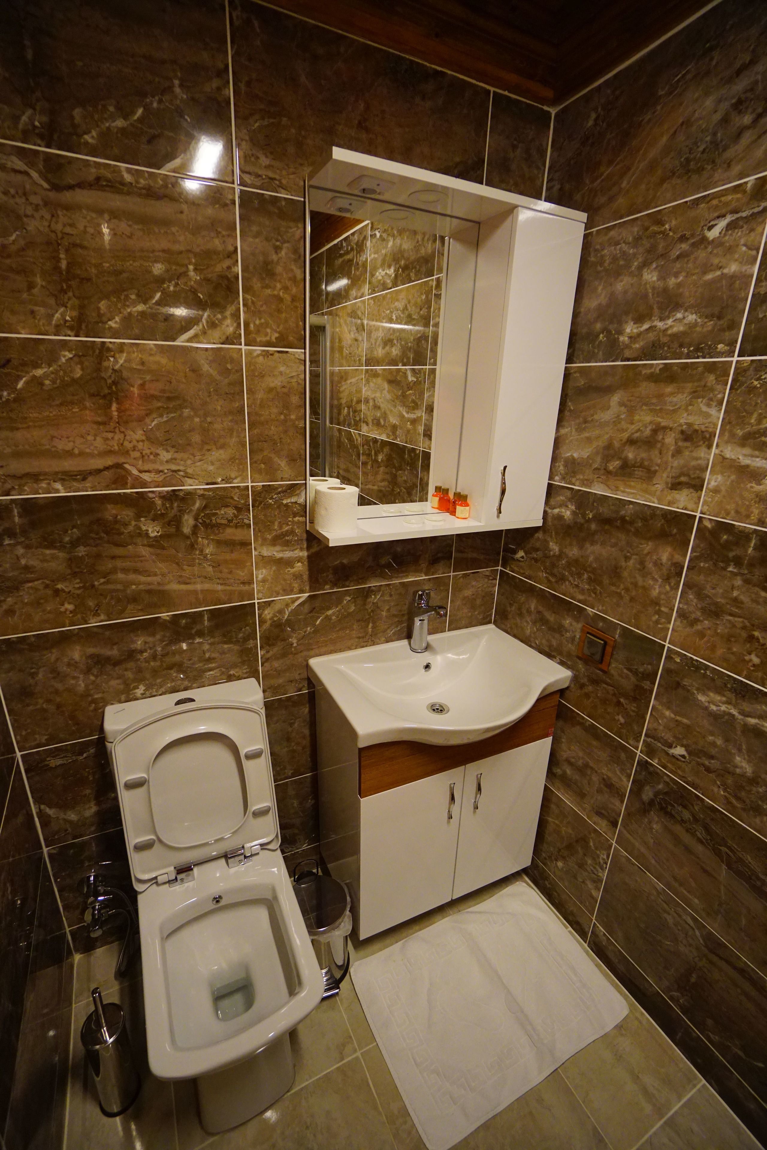 shower, free toiletries, hair dryer, slippers