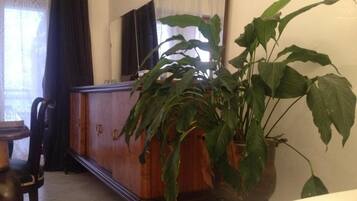 Una sala de estar con un aparador de madera, una planta grande en maceta, un televisor y una silla.