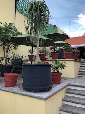 Terrace/patio - Hotel Antigua Posada (Cuernavaca)