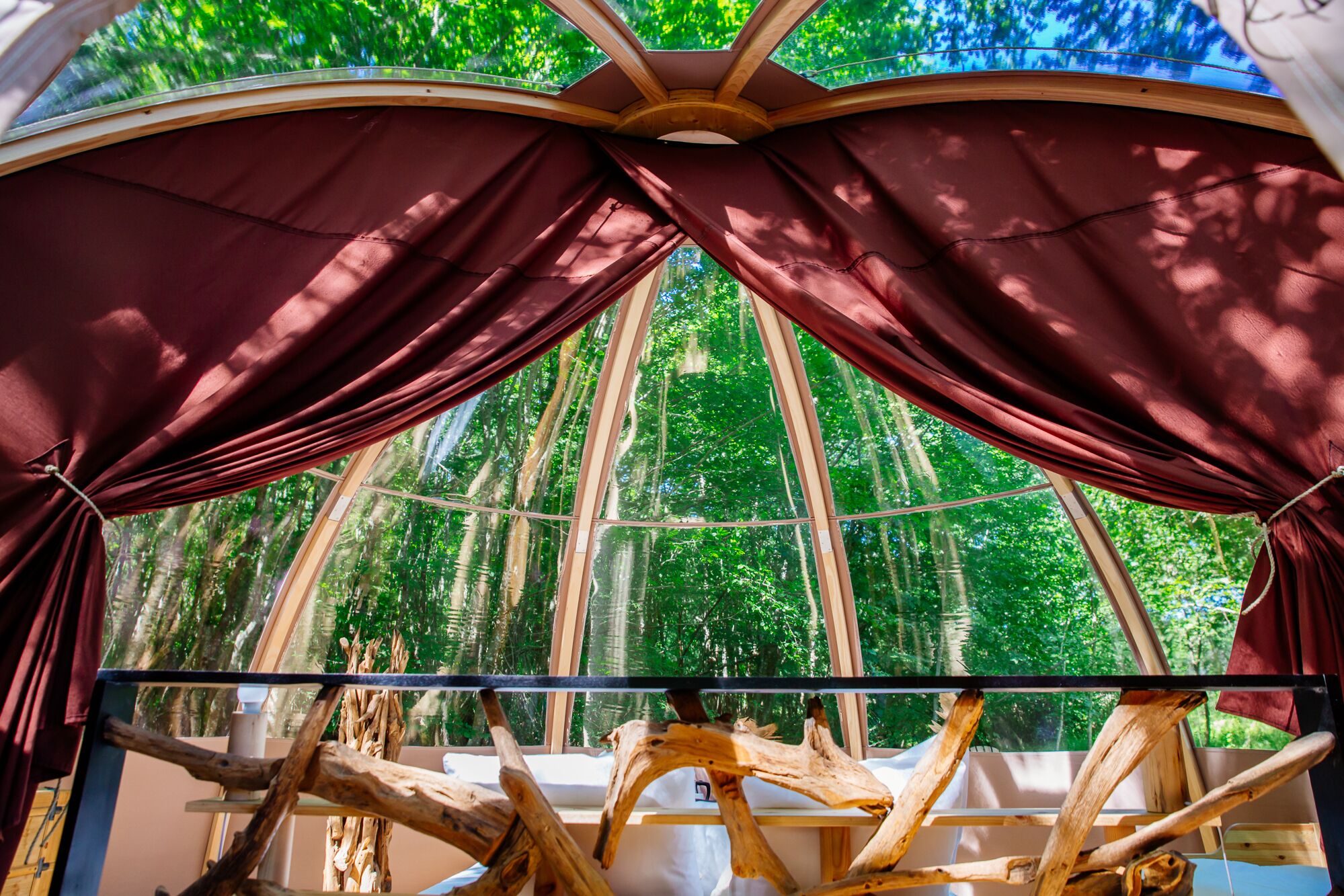 A room with a view of a forest through a large window, a wooden structure in the foreground, and a ceiling with a wooden beam design.