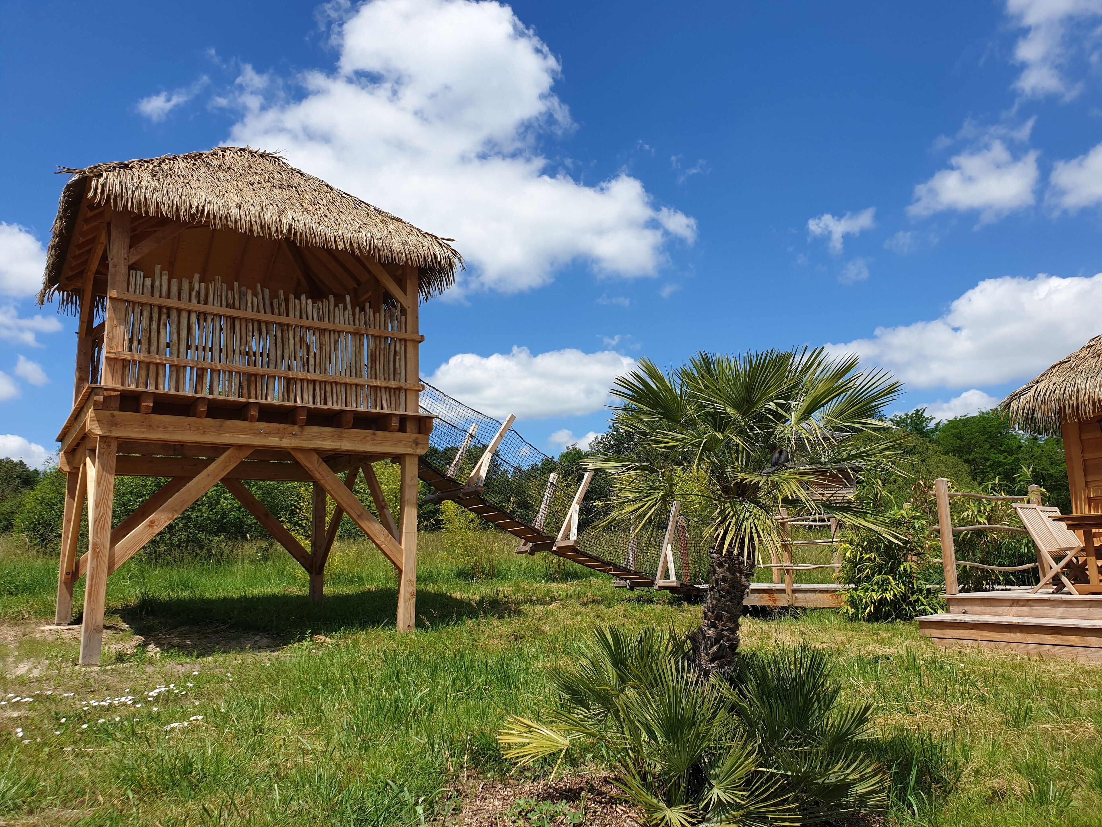 A wooden structure with a thatched roof, surrounded by lush greenery and palm trees.