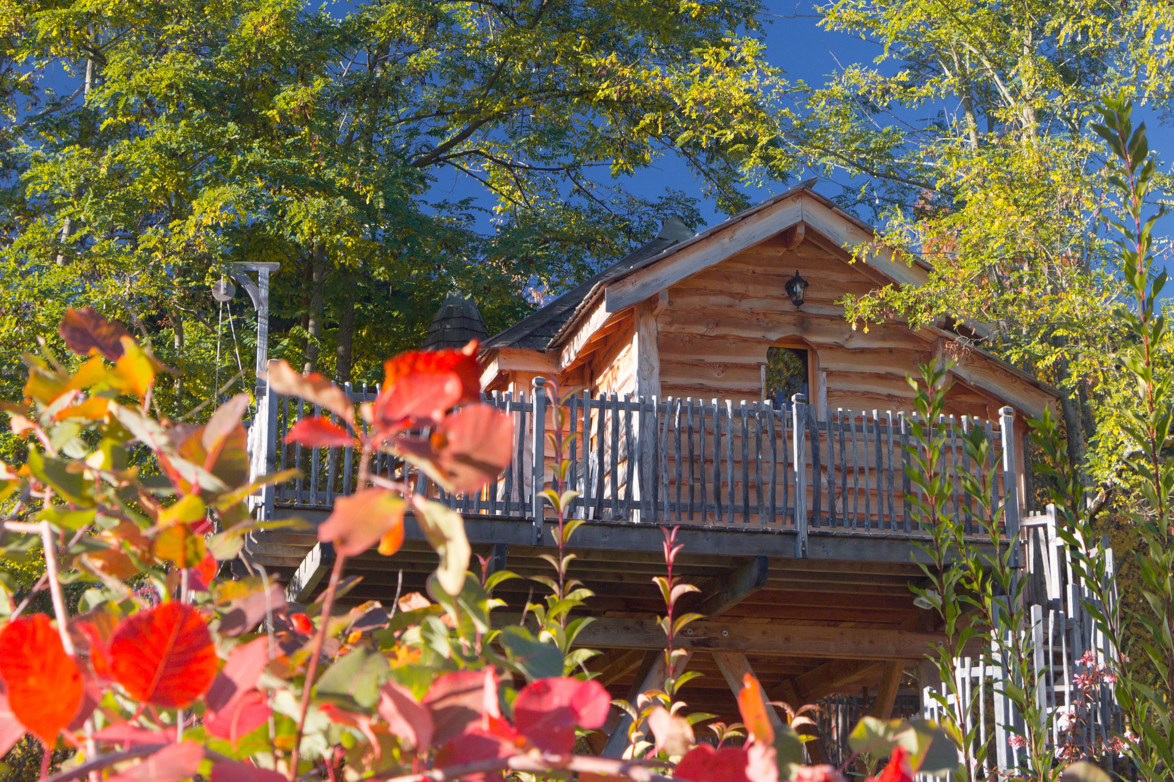 A wooden cabin with a balcony, surrounded by trees and foliage.