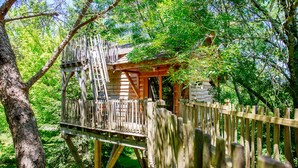 A wooden treehouse with a ladder, surrounded by lush greenery. - Domaine Ecôtelia (Le Nizan)