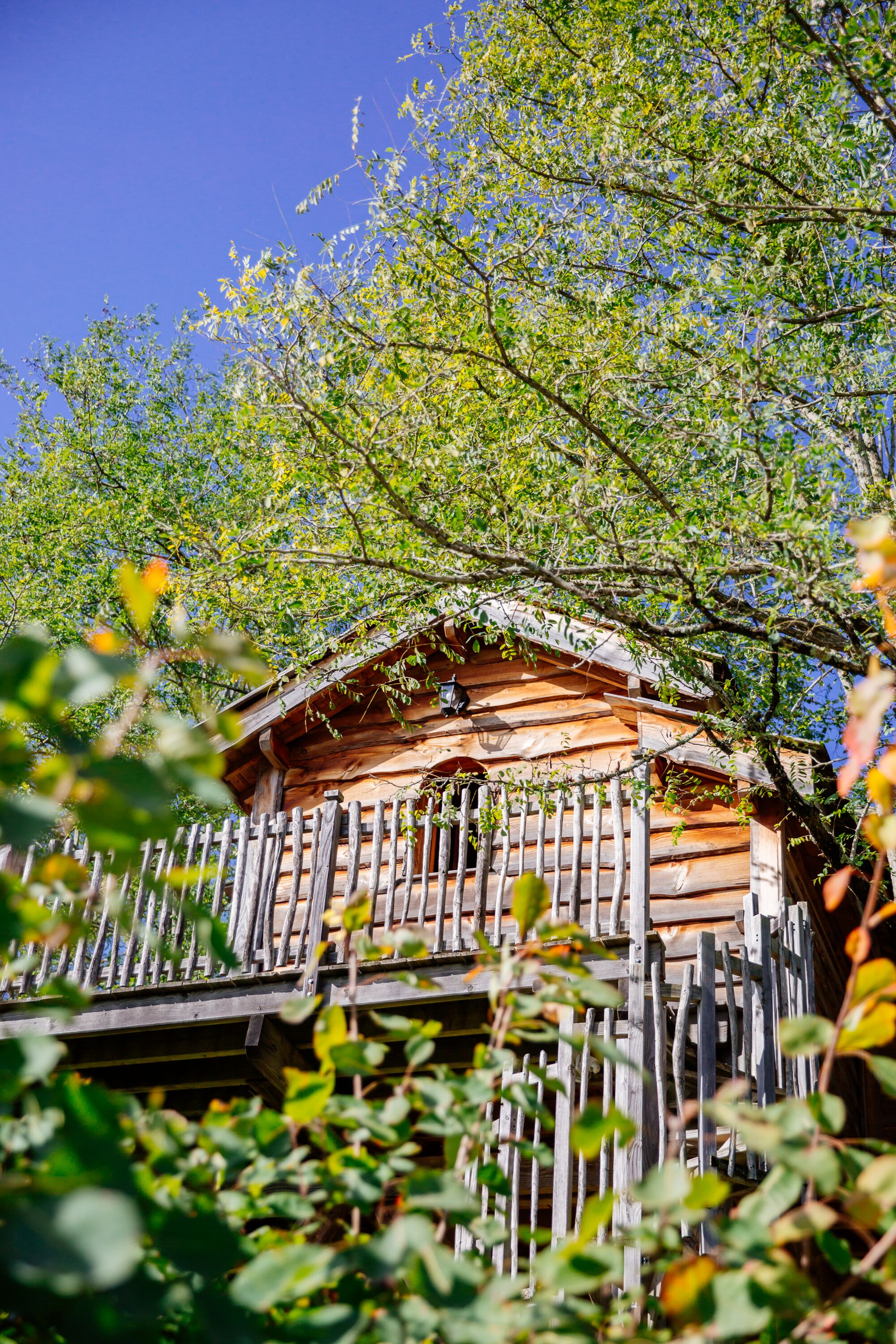 A wooden cabin with a sloped roof, surrounded by dense foliage.