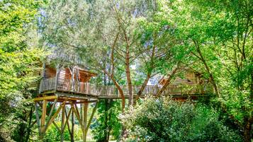 Wooden treehouses with wooden railings, surrounded by dense green foliage.