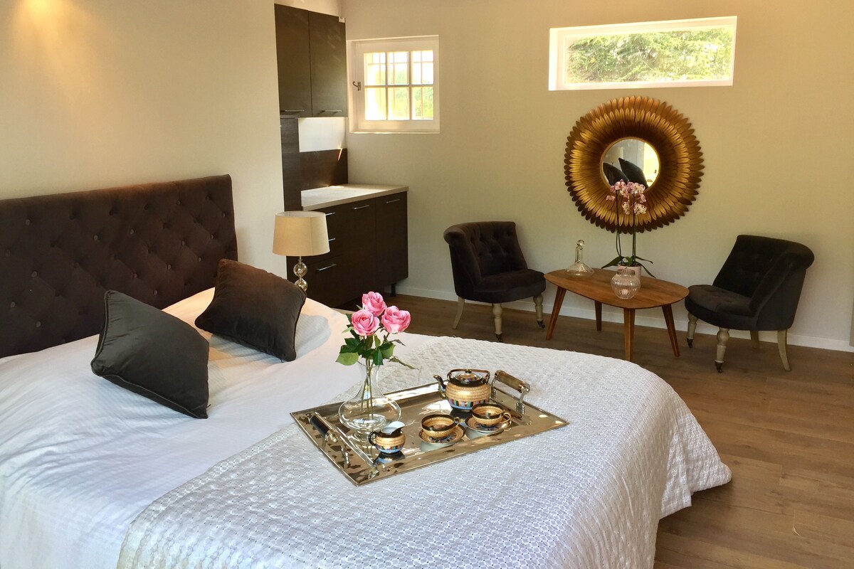 Comfort-Apartment (Cezanne) | Bügeleisen/Bügelbrett, Zustellbetten, kostenloses WLAN, Bettwäsche