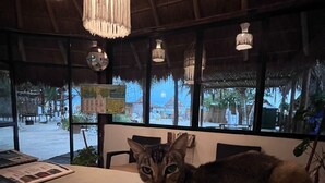 Un gato sentado en una mesa dentro de una habitación con techo de paja y varios candelabros colgantes.
