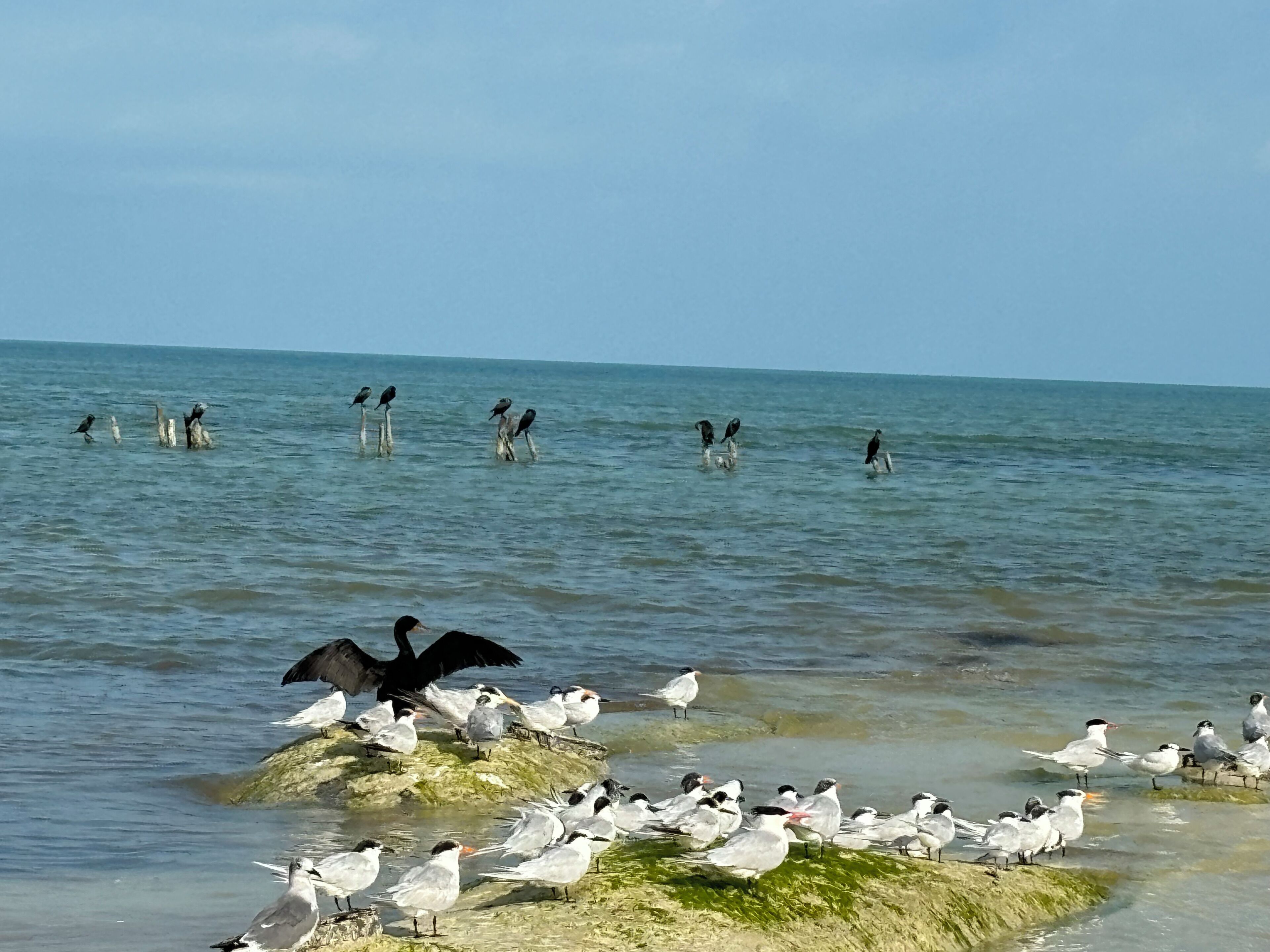 on the beach, white sand