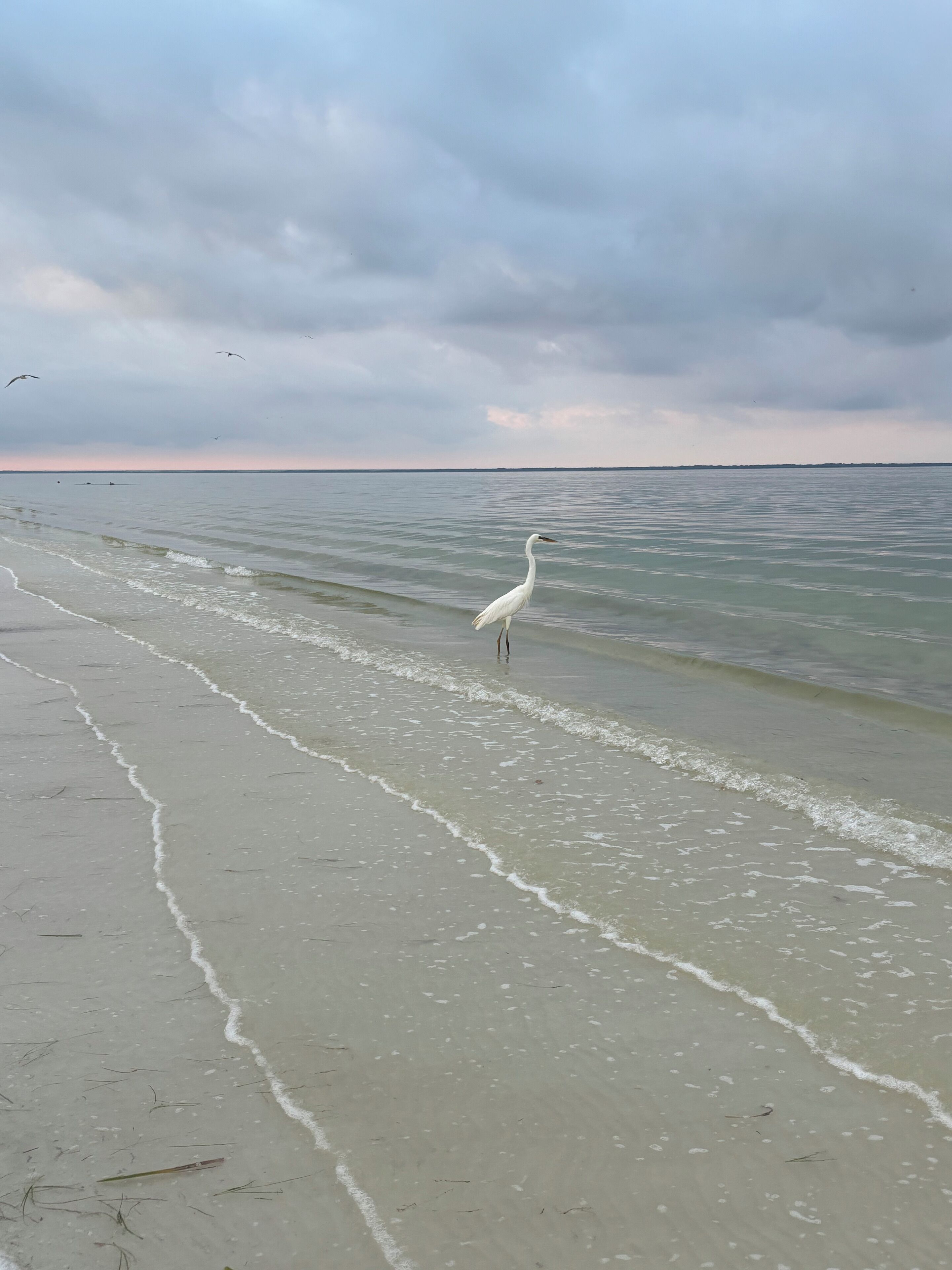 Foto - La Diosa Kali Beach Front Hotel