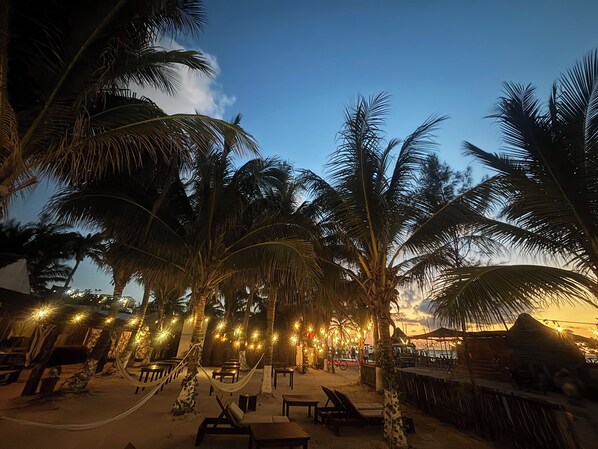 A beachside lounge area with palm trees, lounge chairs, and string lights.