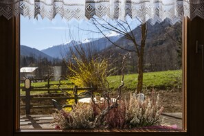 View from property - Animæ Natura Hotel & Chalet (Mezzana)