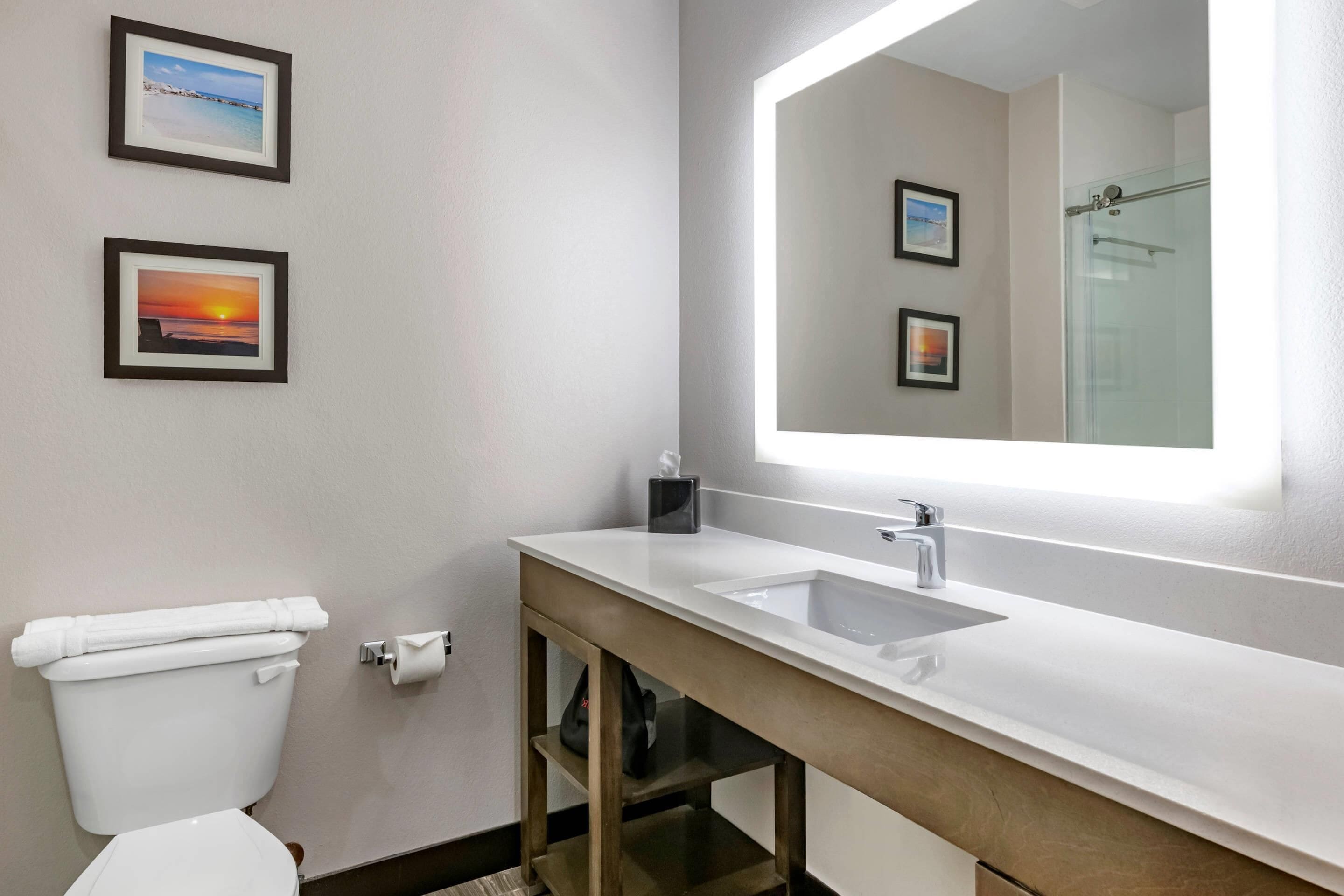 A modern bathroom with a large mirror, a white sink, and two framed pictures on the wall.