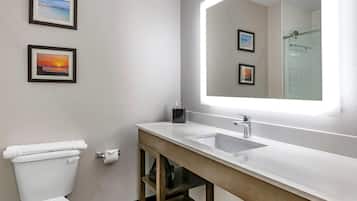 A modern bathroom with a large mirror, a white sink, and two framed pictures on the wall.