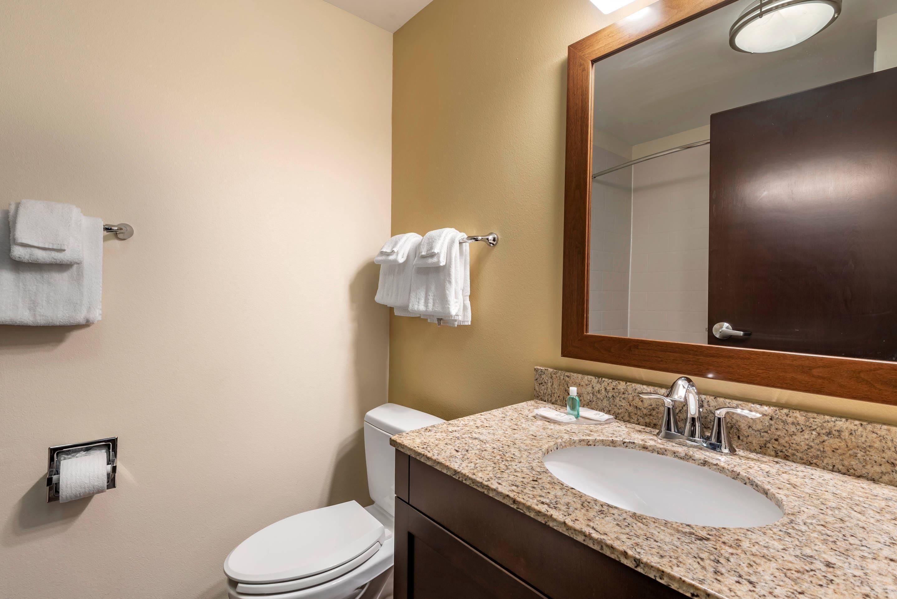 A bathroom with a white toilet, a sink with a granite countertop, and a mirror with a wooden frame.