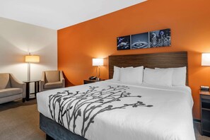 Standard Room, 1 King Bed, Non Smoking