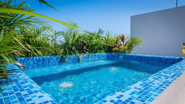 A rectangular pool with blue mosaic tiles, surrounded by lush greenery and a white wall. - Alquimia 2 bedroom apartment sleeps 4 (Tulum)