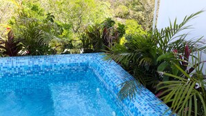 A swimming pool with blue mosaic tiles, surrounded by lush greenery. - Martiki Condo 2 bedroom sleeps 4 (Tulum)
