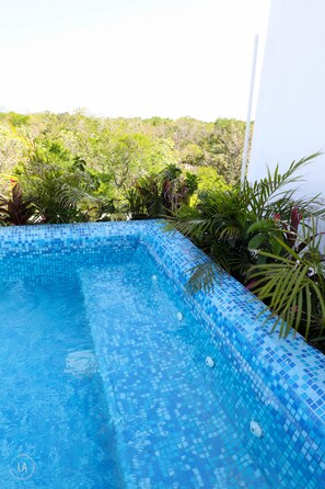 Alberca al aire libre y alberca en la azotea