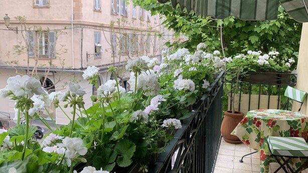 A balcony with a metal railing, potted plants, and a table with a floral tablecloth. - Hotel Central Bastia (Bastia)