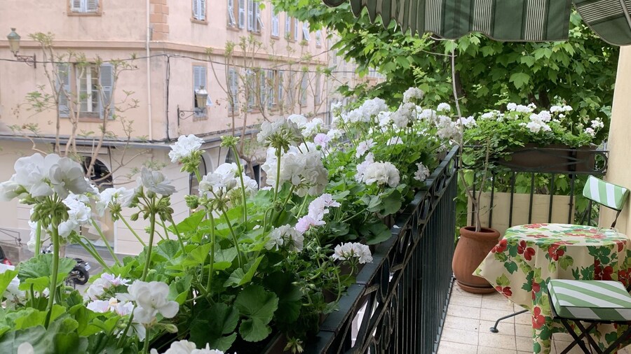 Hotel Central Bastia