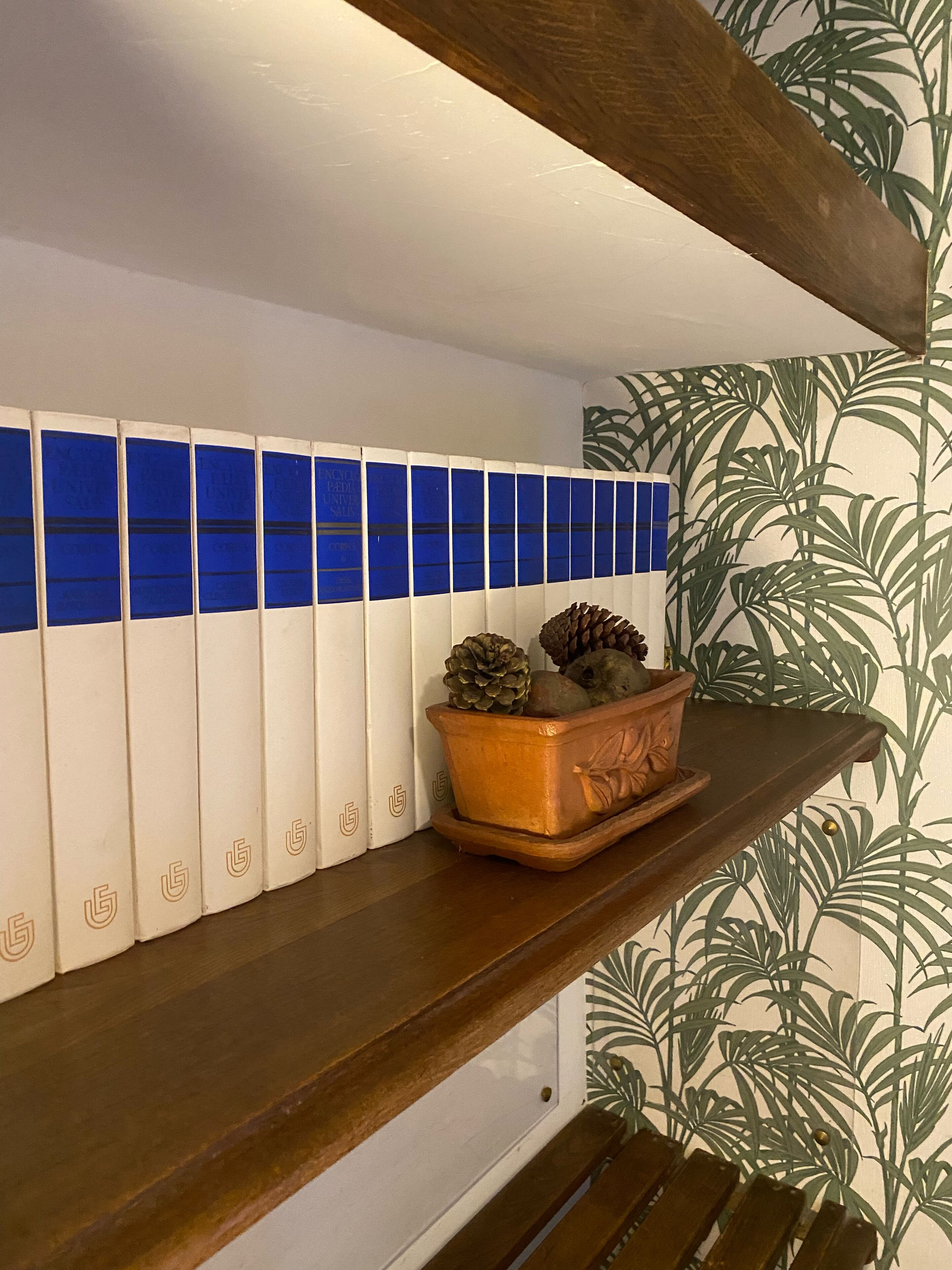 Una estantería con libros y una maceta de terracota con adornos.