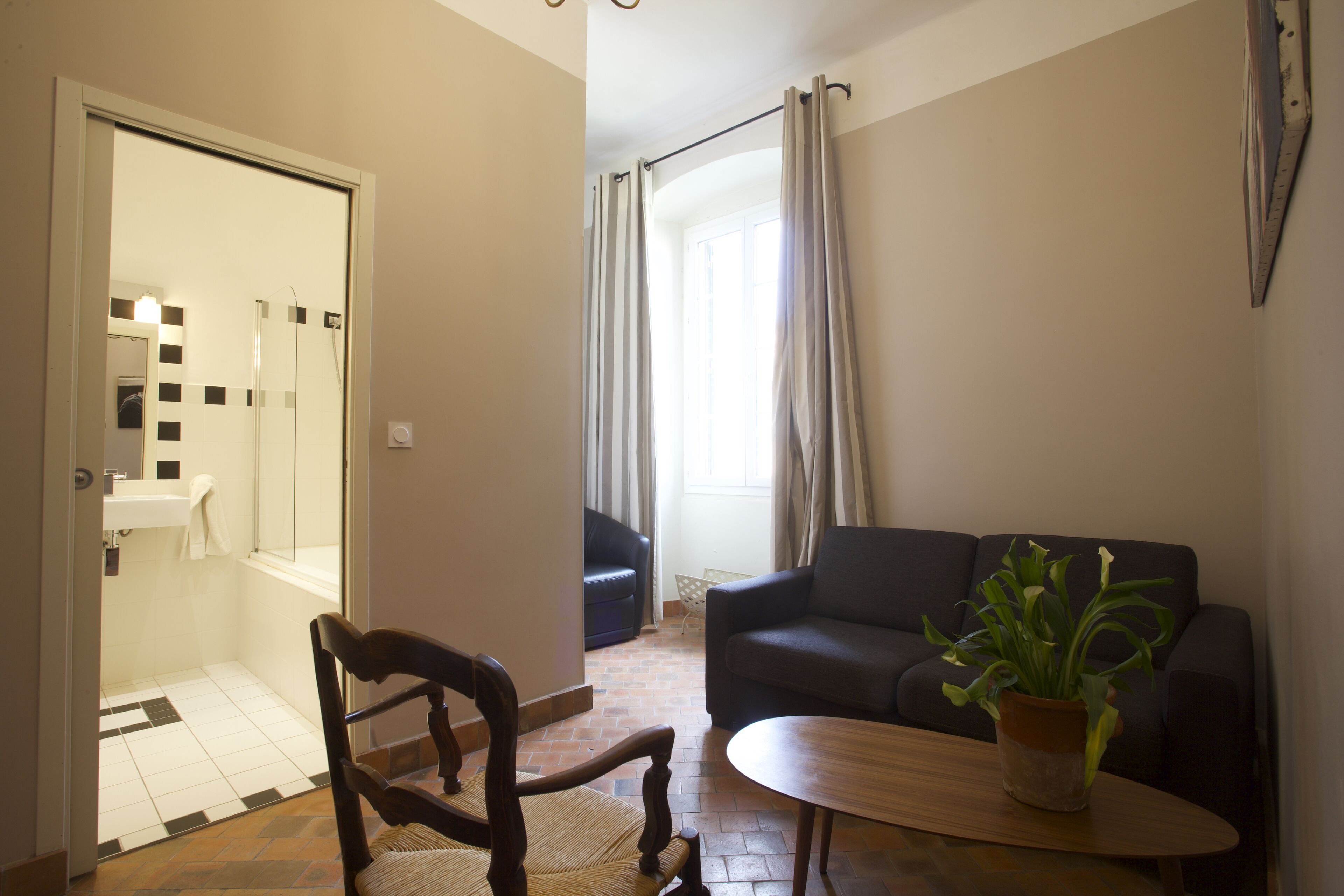 Un salon avec un canapé, une table basse et une plante en pot.