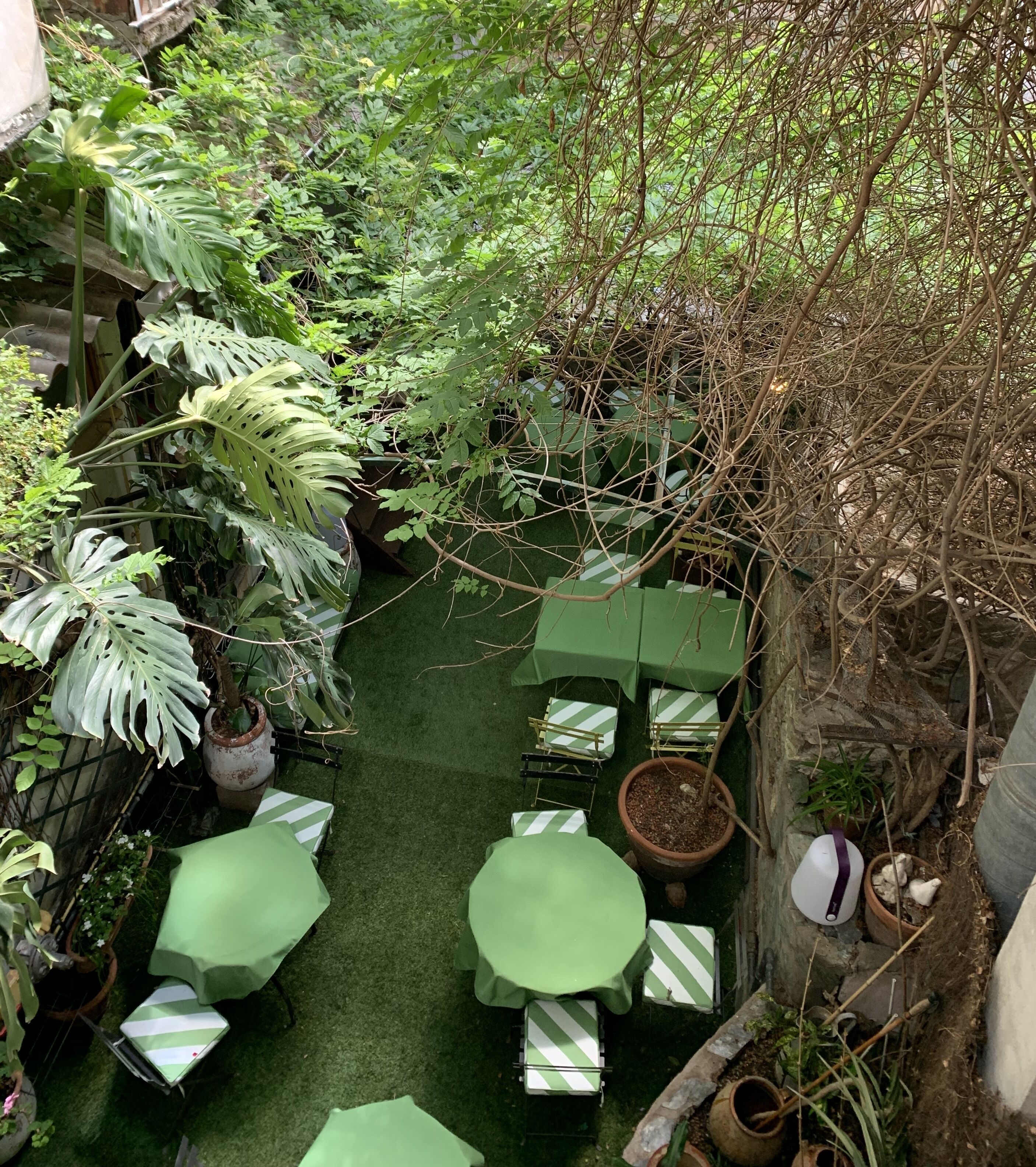 A lush garden patio with green tables and chairs, surrounded by various potted plants and trees.