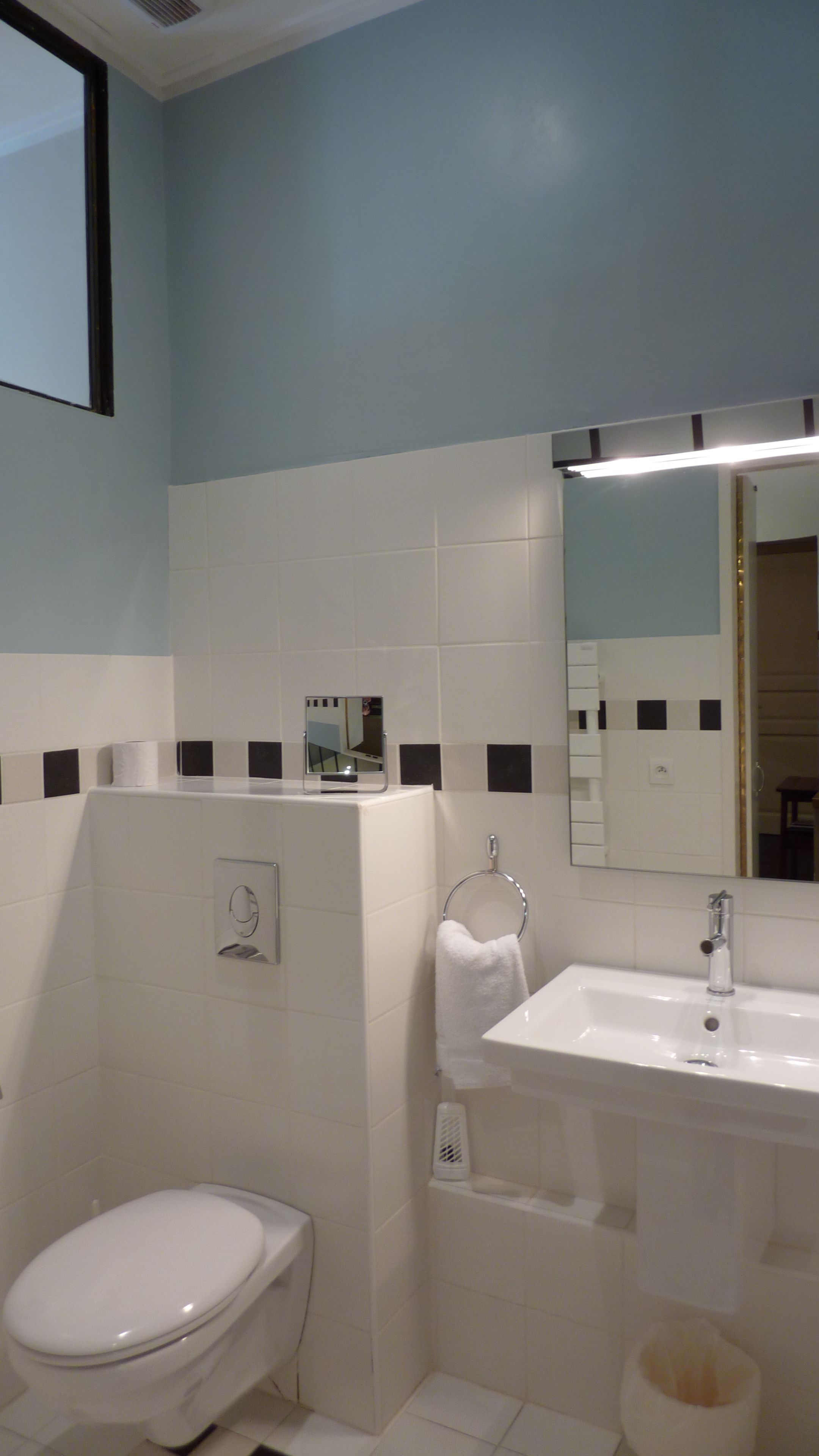 A bathroom with a toilet, sink, and mirror.