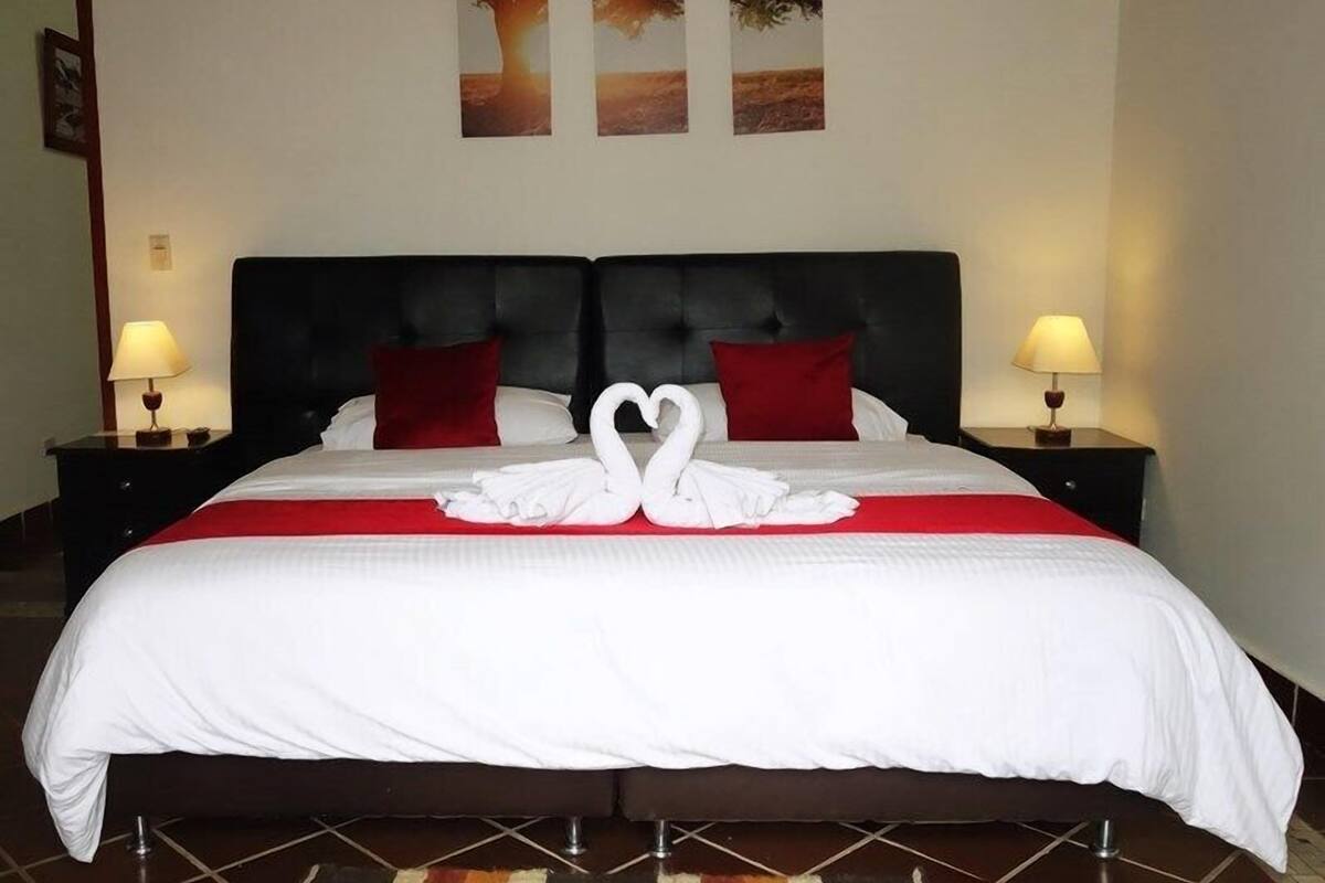Habitación estándar doble | Ropa de cama de alta calidad, minibar, tabla de planchar con plancha