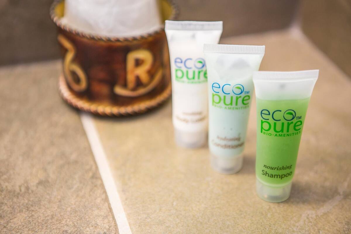 free toiletries, hair dryer, towels