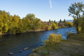 A river with a wooden bench on the bank, surrounded by trees and a building in the background.