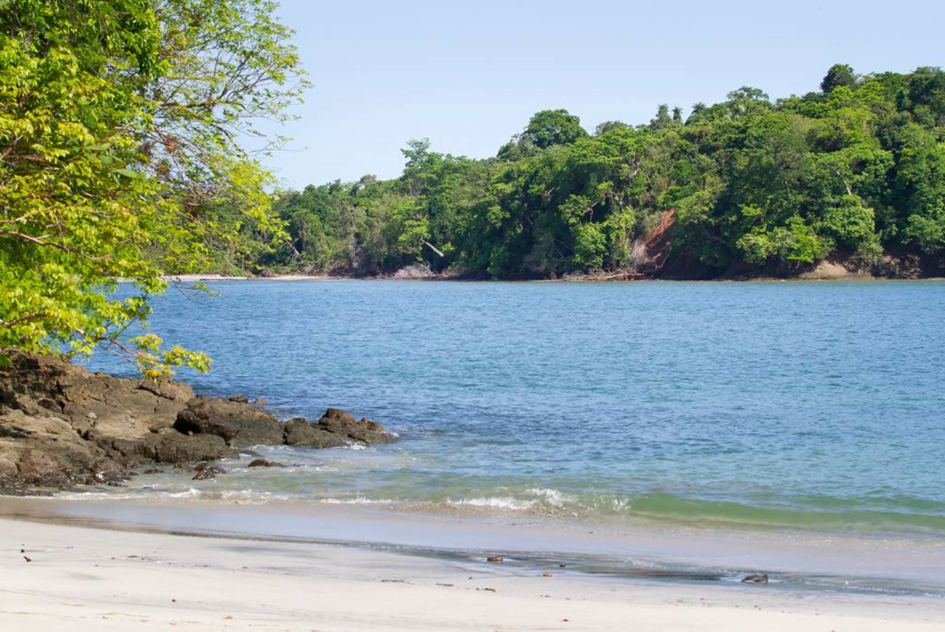 A beach with clear blue water, sandy shore, and dense green foliage in the background.