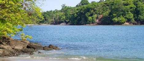 A beach with clear blue water, sandy shore, and dense green foliage in the background.