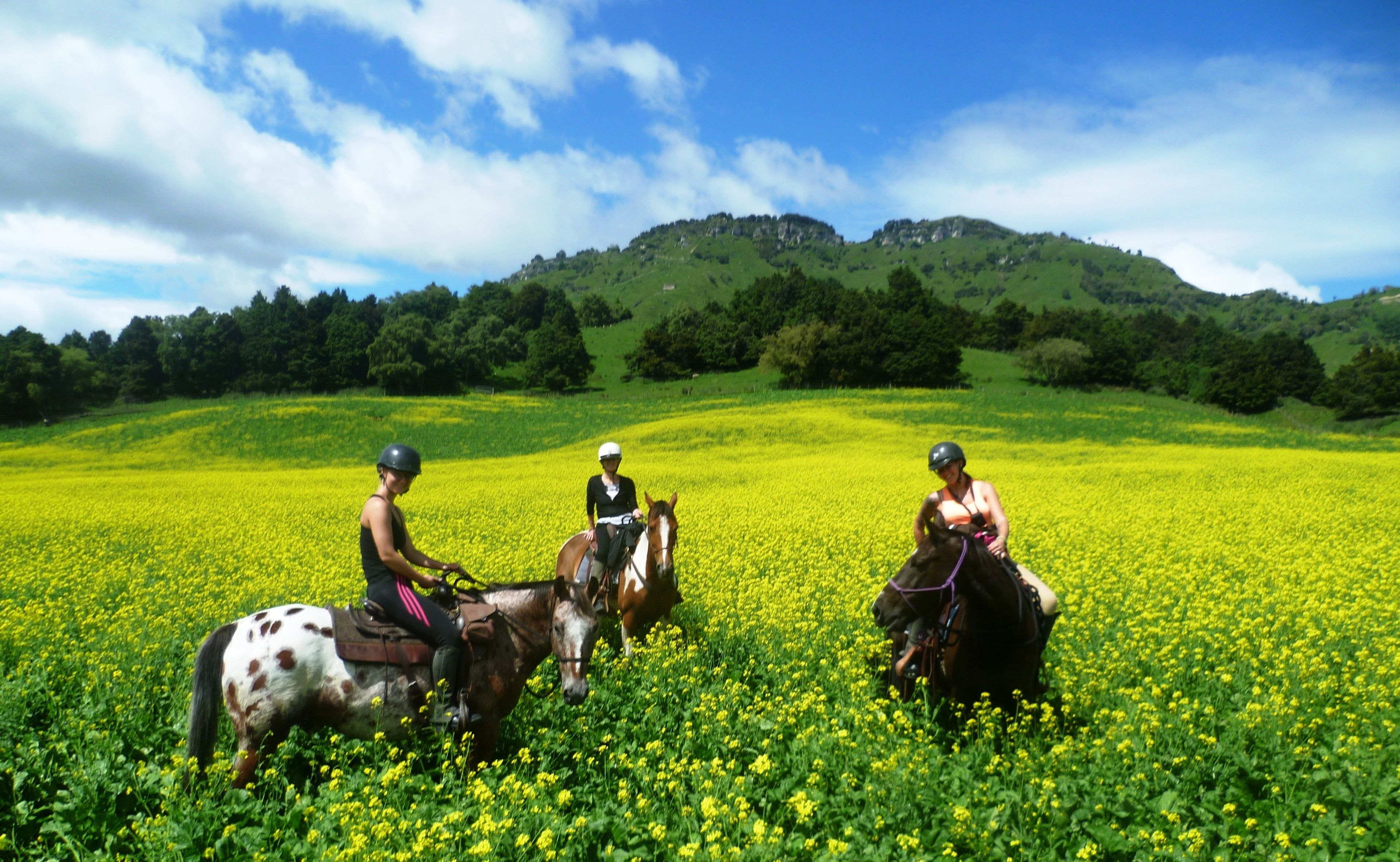 Tres personas montando a caballo en un campo de flores amarillas, con colinas verdes al fondo.