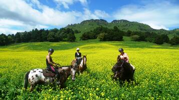Tres personas montando a caballo en un campo de flores amarillas, con colinas verdes al fondo.