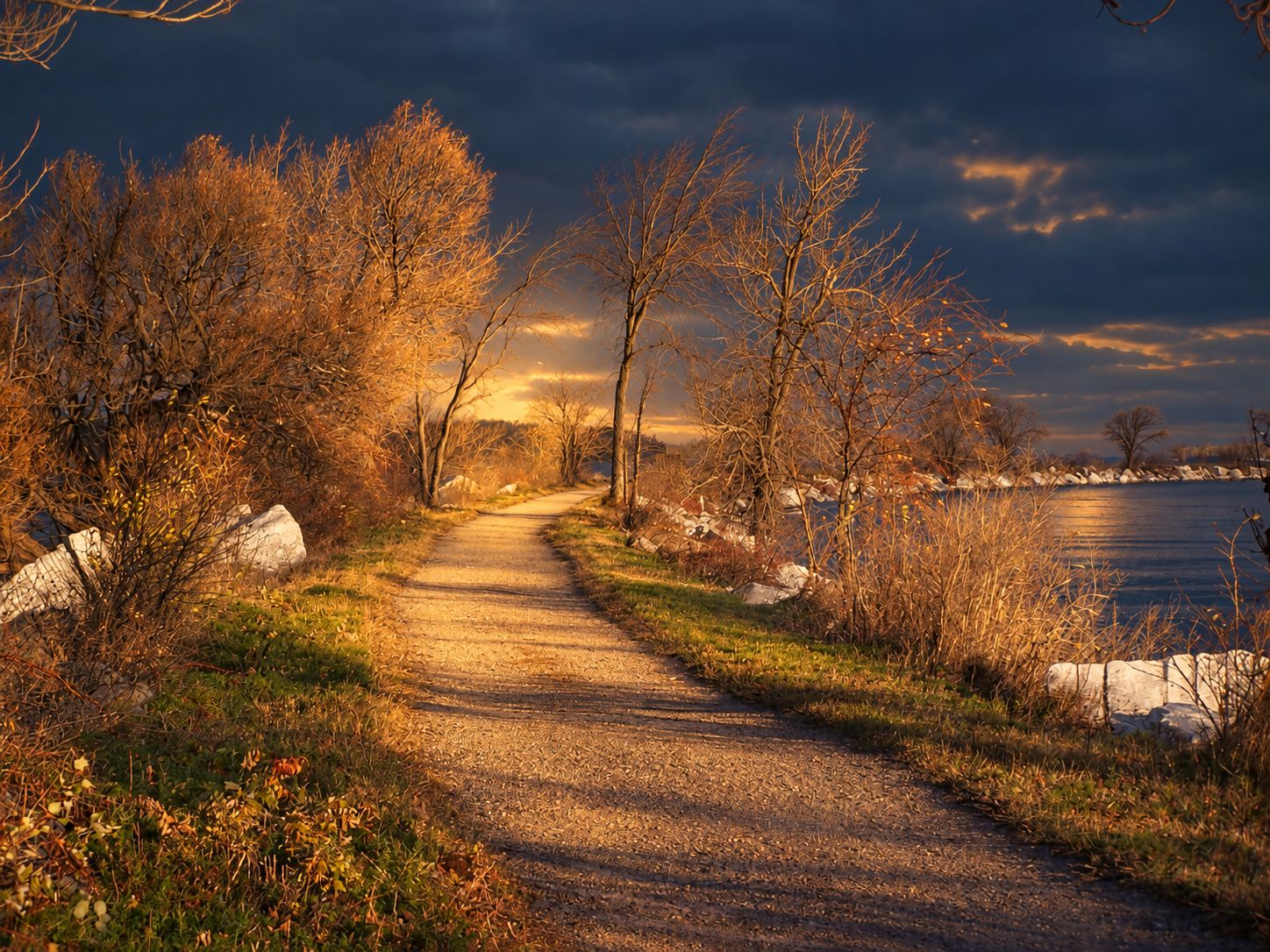 A dirt path flanked by leafless trees and rocks, leading towards a body of water under a cloudy sky.