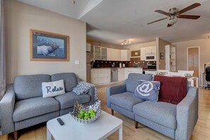 TV, fireplace, Netflix, books